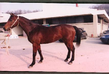 ��õ ����