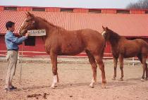 ��õ���� (YEONCHEON MIIN) ����