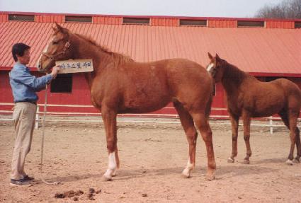 ��õ���� ����