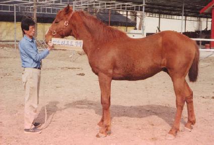 ����Ʈ ����