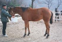 Ʈ���þ��� (TRIPLE THREE) ����