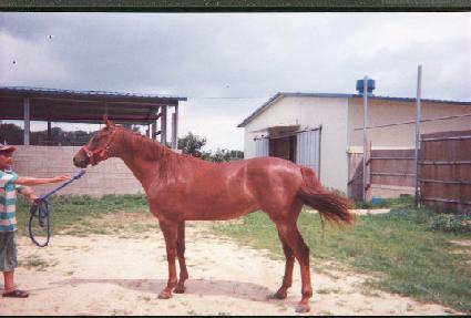 ��ź ����