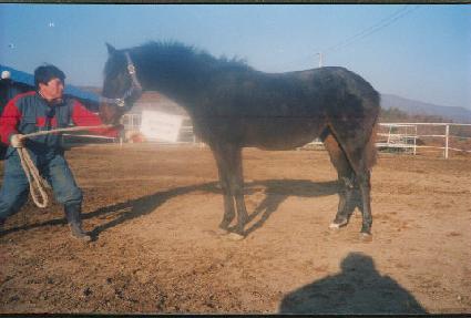 �̺��� ����