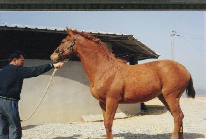 �ͺ深�� ����