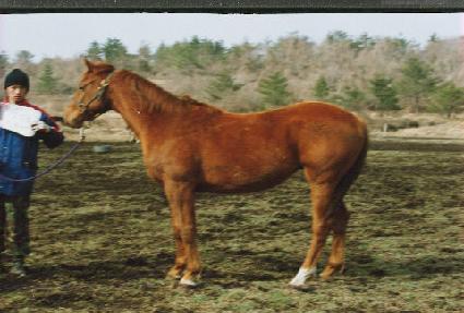 �����ȭ ����