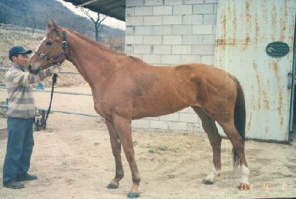 �������� ����