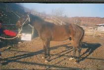 ���� (GANGSEOK) ����