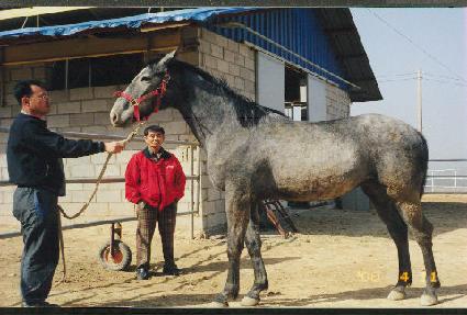 �ѵ� ����