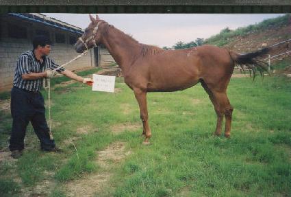 �ε����ɳ� ����