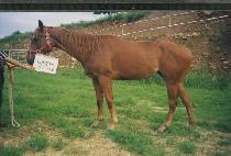 �ٺ��� (HAEKBIHAENG) ����