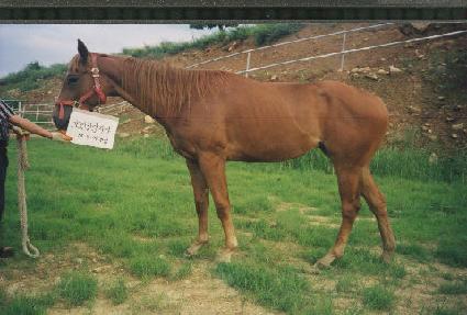 �ٺ��� ����