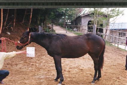 ��ȭ ����