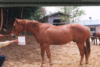 ��� ����