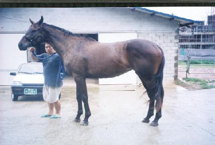 �ҹ�� ����