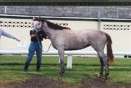 �µ� ����