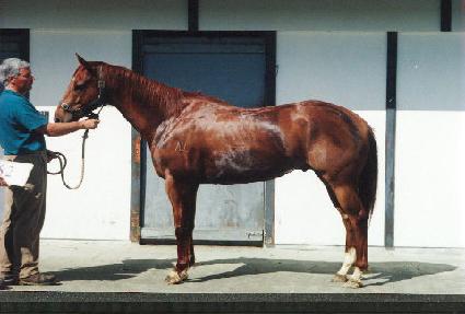 Ư�� ����