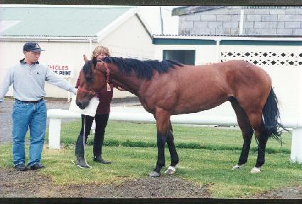 �̽��ʹ��ݶ� ����