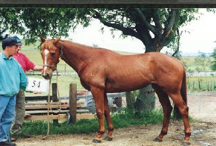 ���̺�� ����