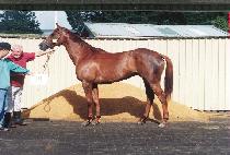 ū���� (K��EUNMANJOK) ����