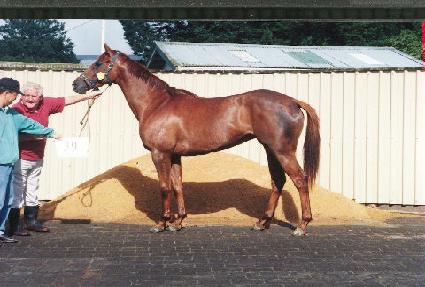 ū���� ����