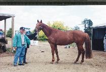 ������ (CH��ACH��AUNG) ����