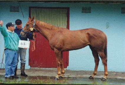 ��Ÿ��� ����