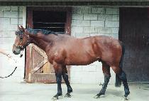 �����뱹 (KANGSEONG TAEKUK) ����