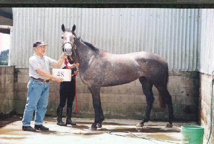 ��Ű�� ����