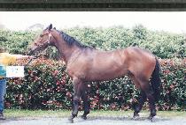 ��� (TAEGIL) ����