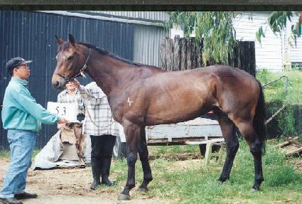 ��ó뺣�� ����