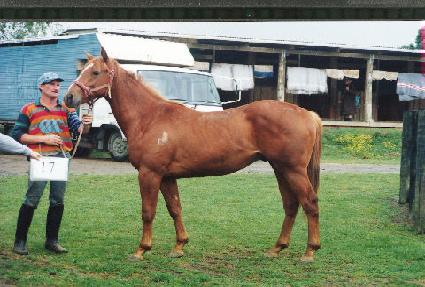 �ʴ� ����