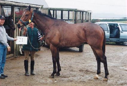 ��Ʈ����ũ�׷� ����