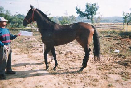 �ٸ������Ŭ���� ����