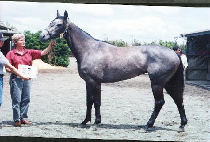 ����������� ����