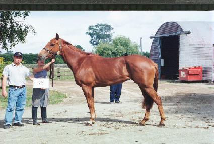 ����ī�� ����