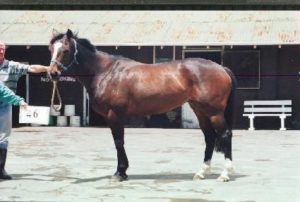 ����ʷο� ����