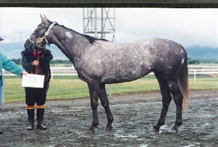 ��Ƽ������ ����