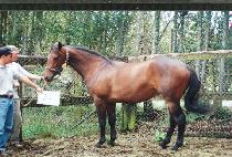 ���߿� (MUNJUNG-YEON) ����