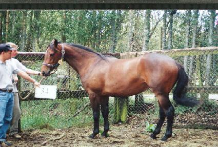 ���߿� ����