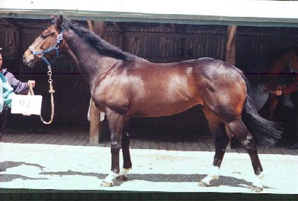 �û��Ѱ� ����