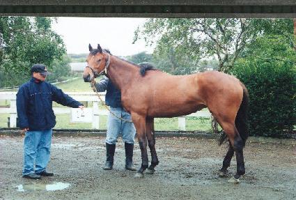 ��ī���� ����