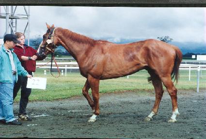 �������� ����