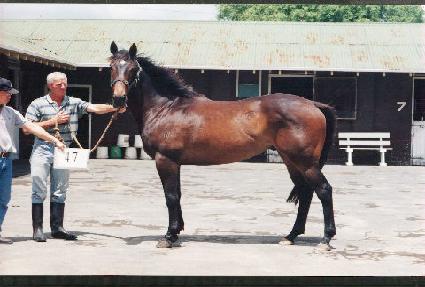 ǻ�;��Ʈ ����