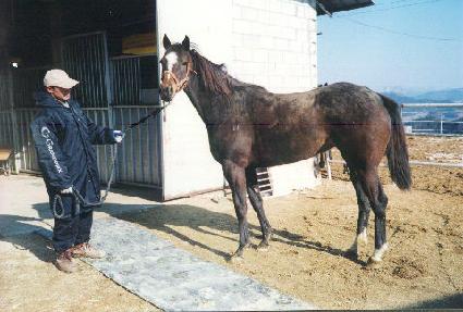 õ���� ����