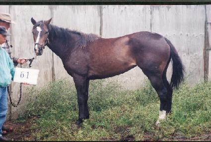 �ڷ�ŷ ����