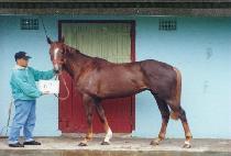 �㵿�� (TTEULDONG-I) ����