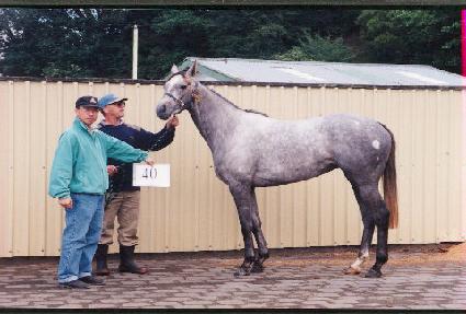 ����ӳ� ����