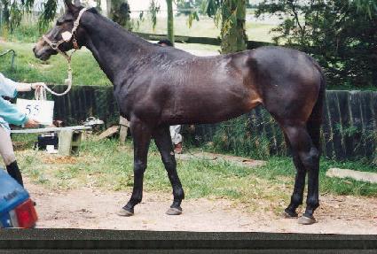 ���κ�� ����