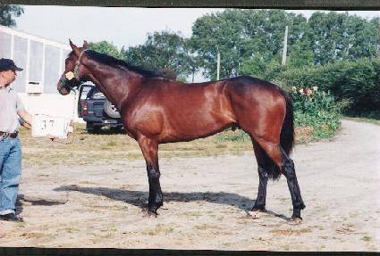 �з��Ͼ�ŷ ����