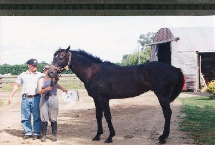 ĳ��� ����